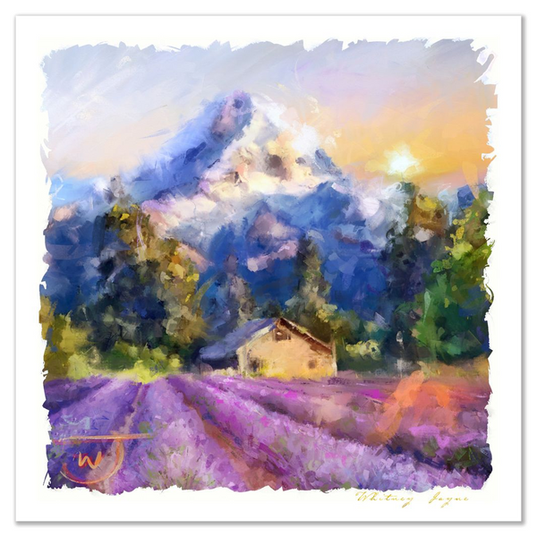 Mt. Hood and Lavender fields